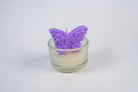 Mărturie de botez, lumânare cu fluture în recipient de sticlă, ceară de soia, Luxora Candles