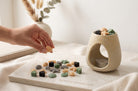 Wax melts Bloom colecția Shore, forme de scoici și stele de mare din ceară de soia